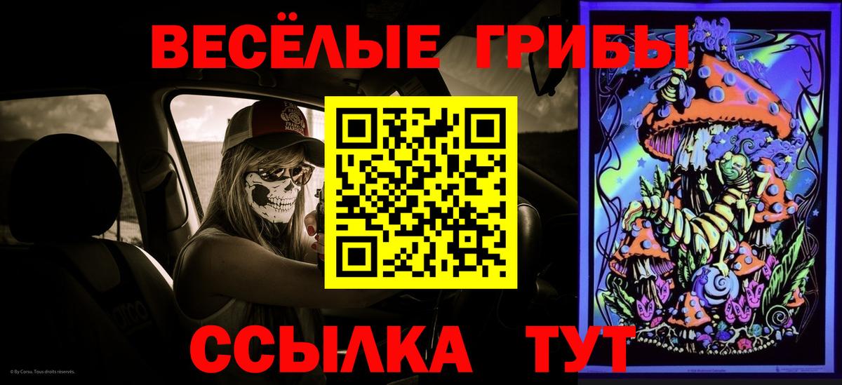 Галлюциногенные грибы Psilocybine cubensis  Вход с VPN  Кинель  Галлюциногенные грибы GOLDEN TEACHER 
